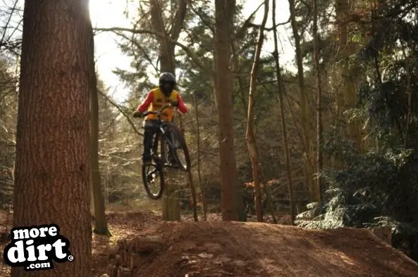 Ribbesford Bike Park