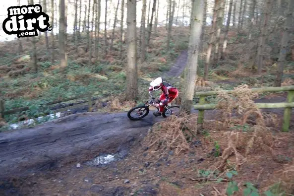 Kinver Freeride Park