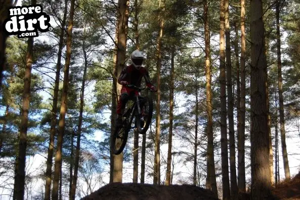 Kinver Freeride Park