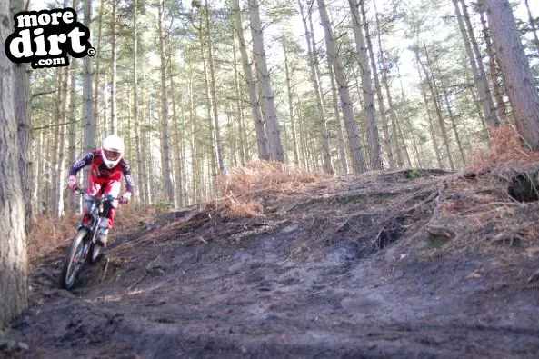 Kinver Freeride Park