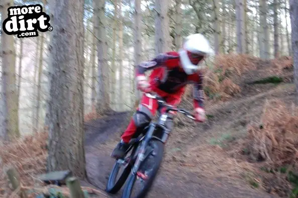 Kinver Freeride Park