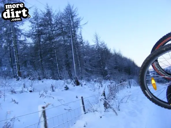 Blue Trail - Coed Llandegla Forest