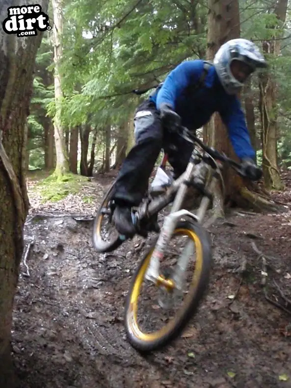 Downhill Trails - Forest of Dean