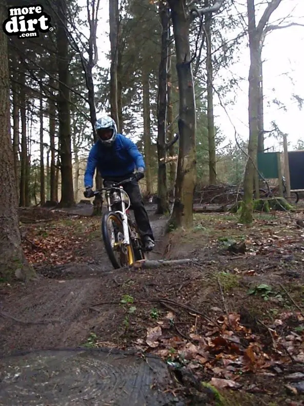 Downhill Trails - Forest of Dean