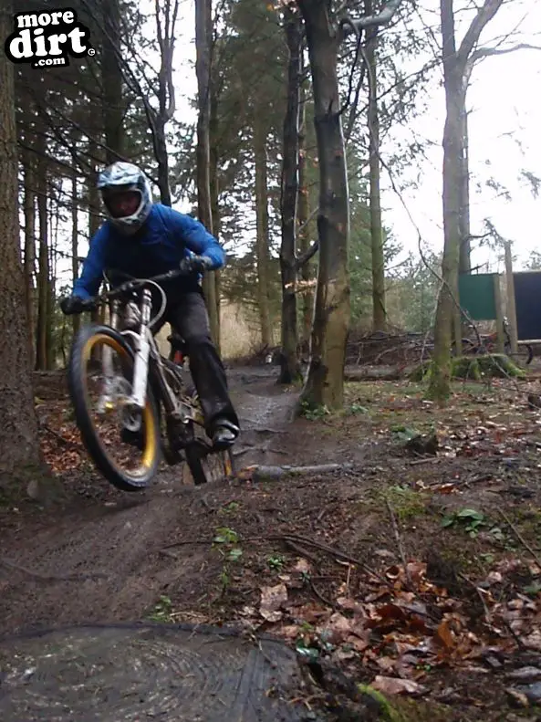 Downhill Trails - Forest of Dean