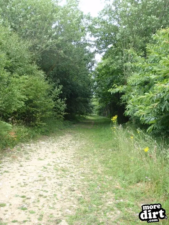 Cromers Wood