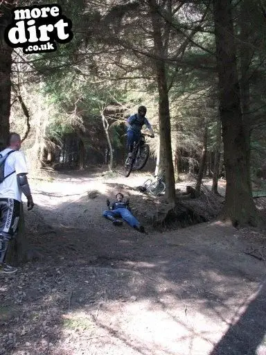 Downhill Trails - Forest of Dean