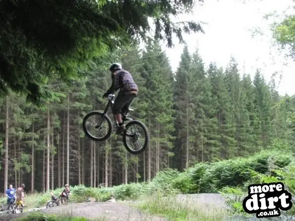 Downhill Trails - Forest of Dean