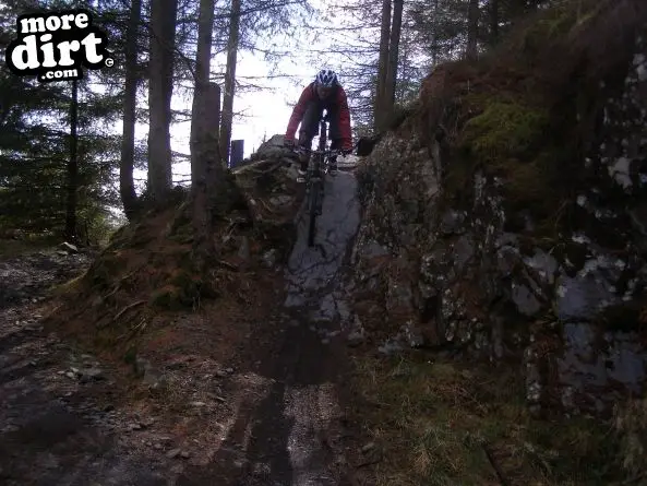 The Twister Trail - Kirroughtree