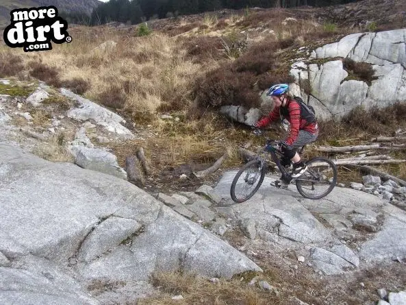 Black Craigs Trail - Kirroughtree