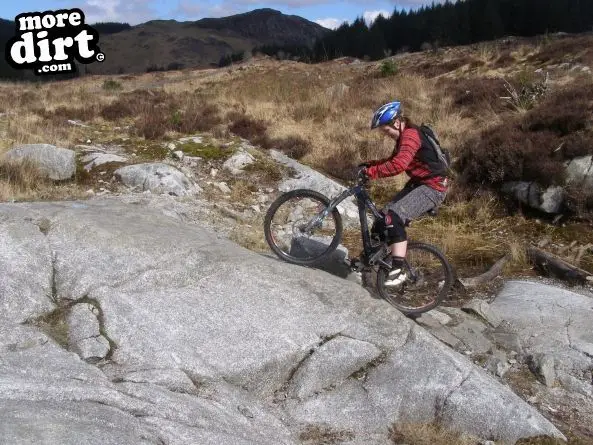 Black Craigs Trail - Kirroughtree