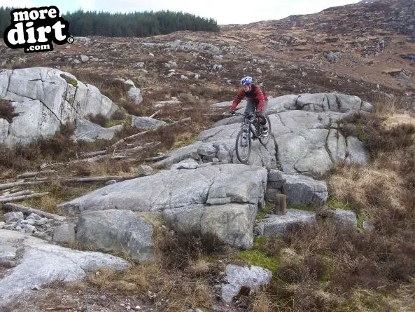 Black Craigs Trail - Kirroughtree