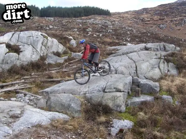 Black Craigs Trail - Kirroughtree