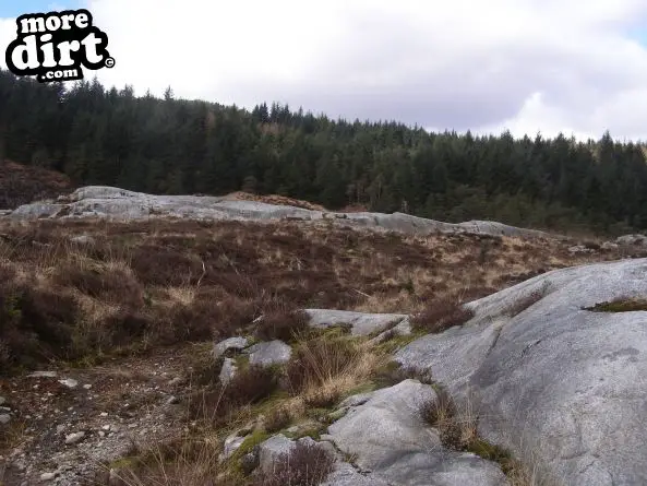 Black Craigs Trail - Kirroughtree