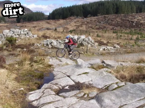 Black Craigs Trail - Kirroughtree