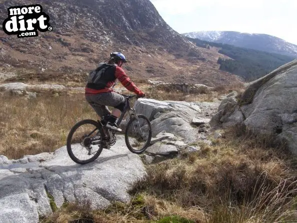 Black Craigs Trail - Kirroughtree