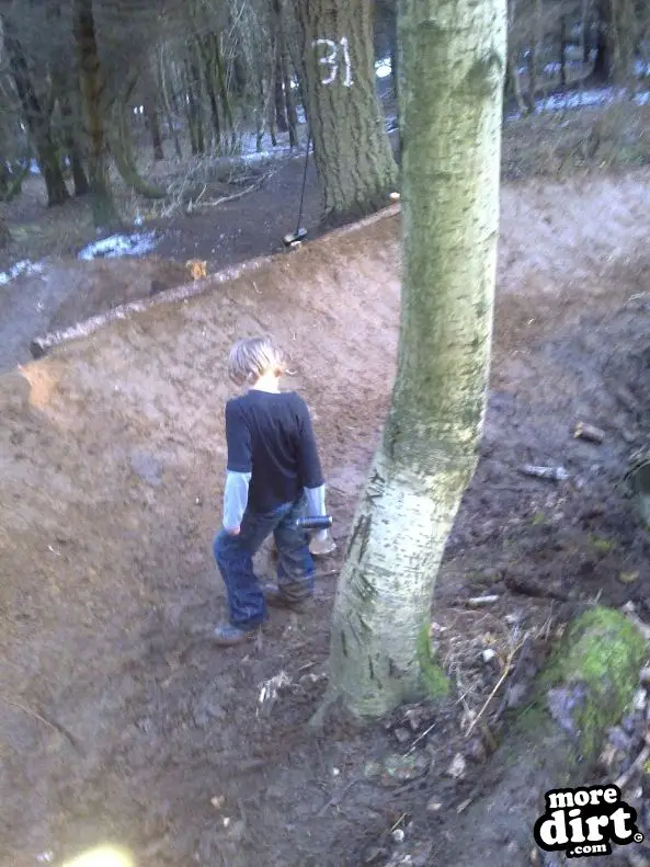 Ribbesford Bike Park