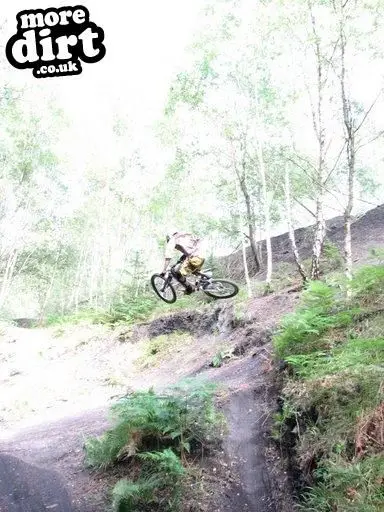 Downhill Trails - Forest of Dean