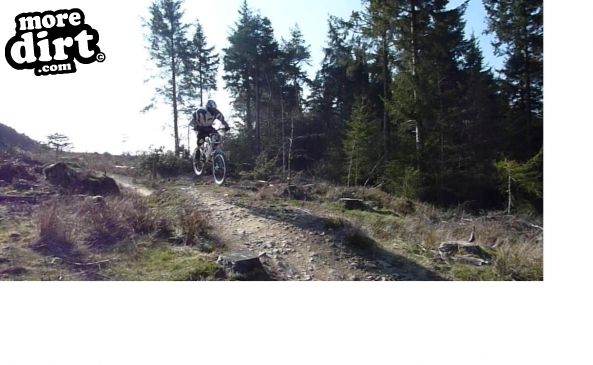 Y Mynydd Downhill - Cwmcarn