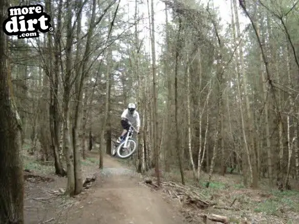 Ribbesford Bike Park