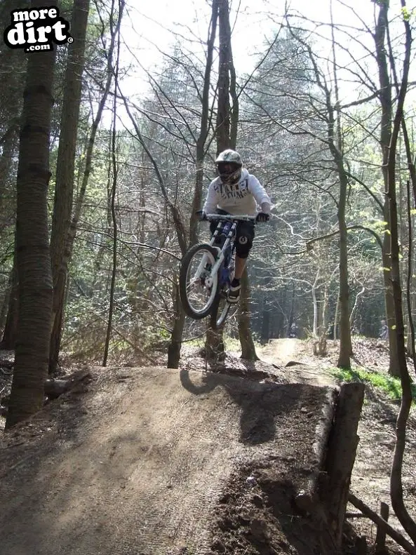 Ribbesford Bike Park