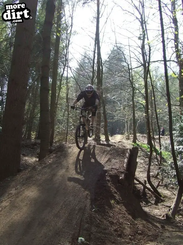 Ribbesford Bike Park