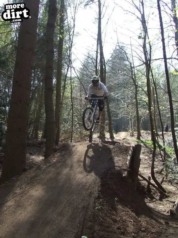 Ribbesford Bike Park