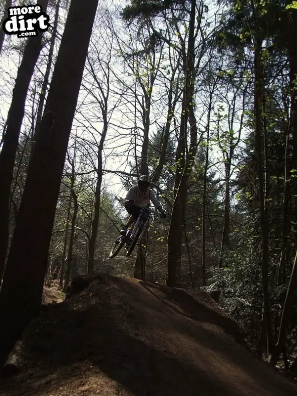 Ribbesford Bike Park