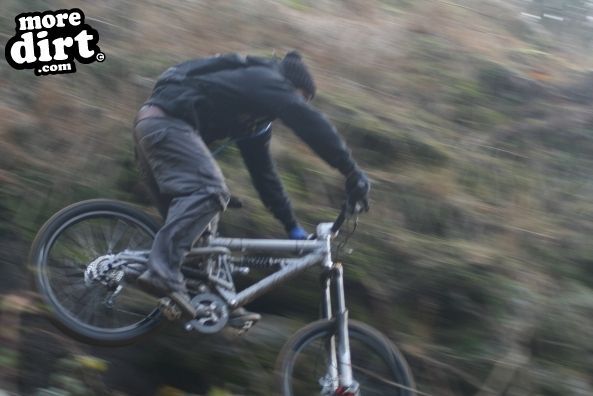 Dalby Forest Red Trail