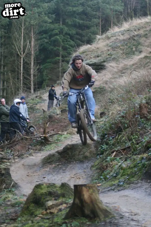 Dalby Forest Red Trail