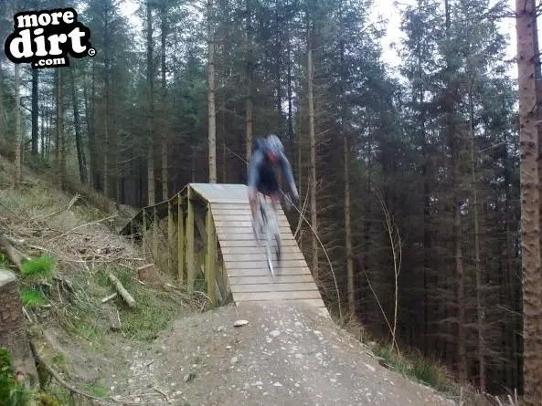 Black Trail - Coed Llandegla Forest