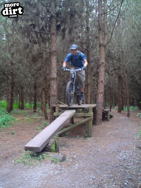 thetford forest bike trails