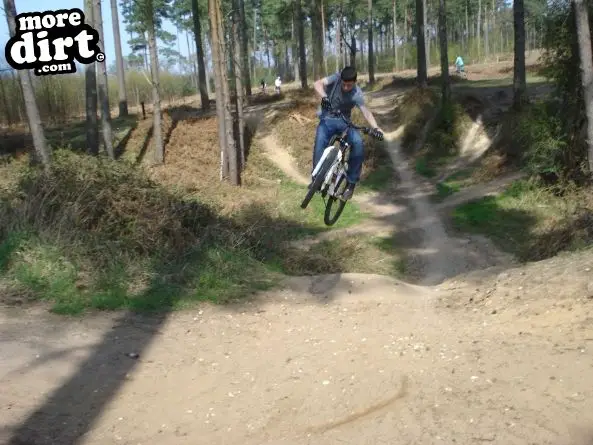 Lime Burner Trail - Thetford Forest