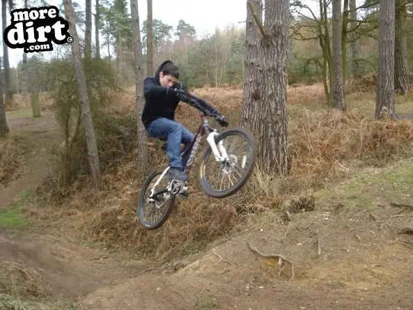 Lime Burner Trail - Thetford Forest