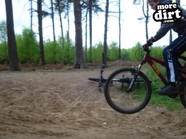 Lime Burner Trail - Thetford Forest