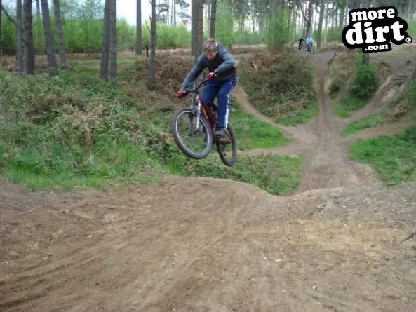 Lime Burner Trail - Thetford Forest