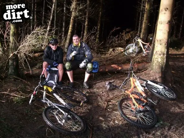 Black Trail - Coed Llandegla Forest