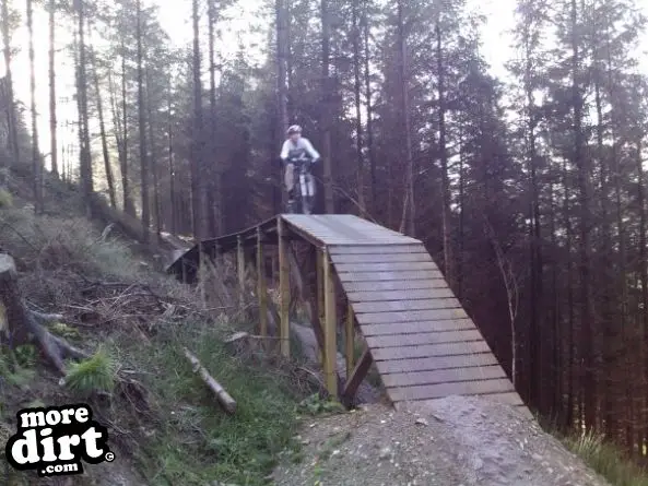 Black Trail - Coed Llandegla Forest