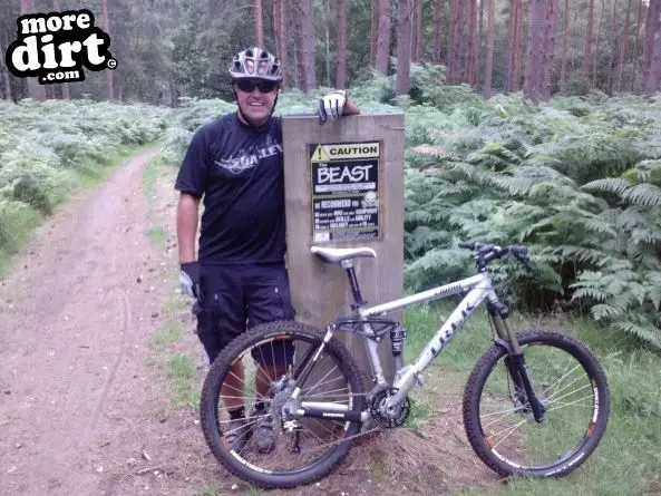 Lime Burner Trail - Thetford Forest