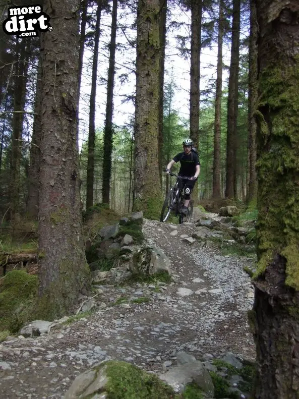 Dragons Back Trail - Coed-y-Brenin