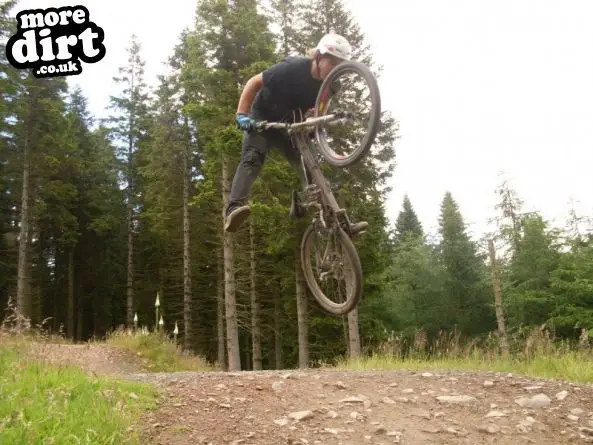 Freeride Park - Glentress