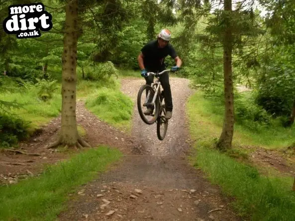 Freeride Park - Glentress