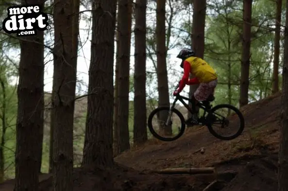 Kinver Freeride Park