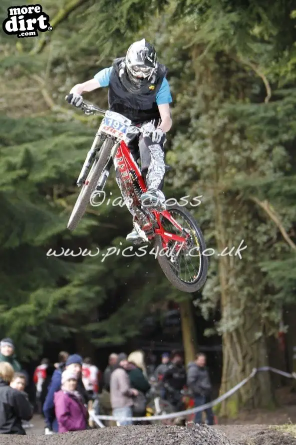 Downhill Trails - Forest of Dean