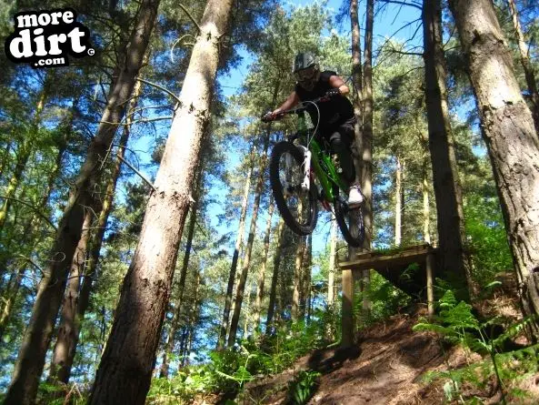 Kinver Freeride Park