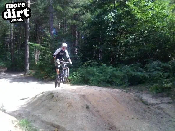 Bedgebury Freeride Area