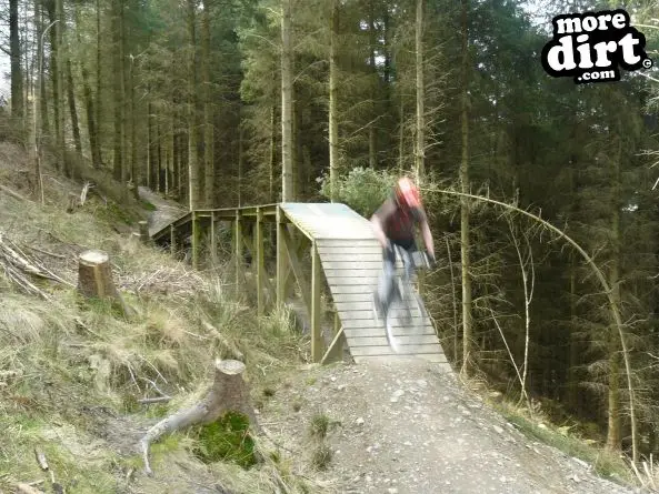 Black Trail - Coed Llandegla Forest