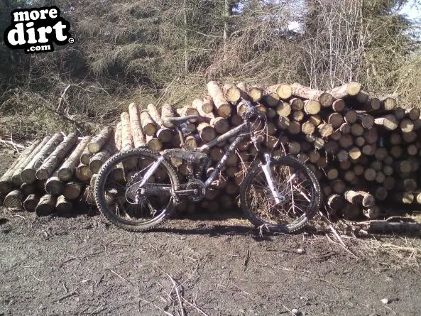 Black Trail - Coed Llandegla Forest