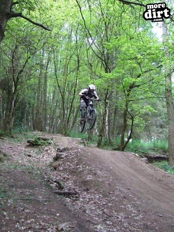 Ribbesford Bike Park