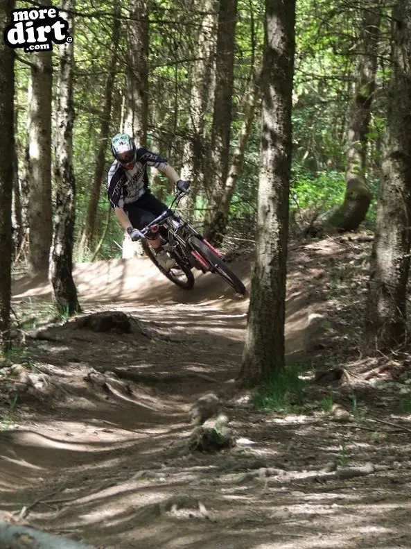 Ribbesford Bike Park